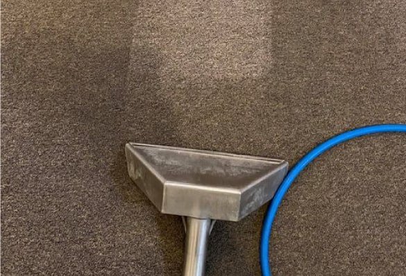 carpet cleaning st kilda
